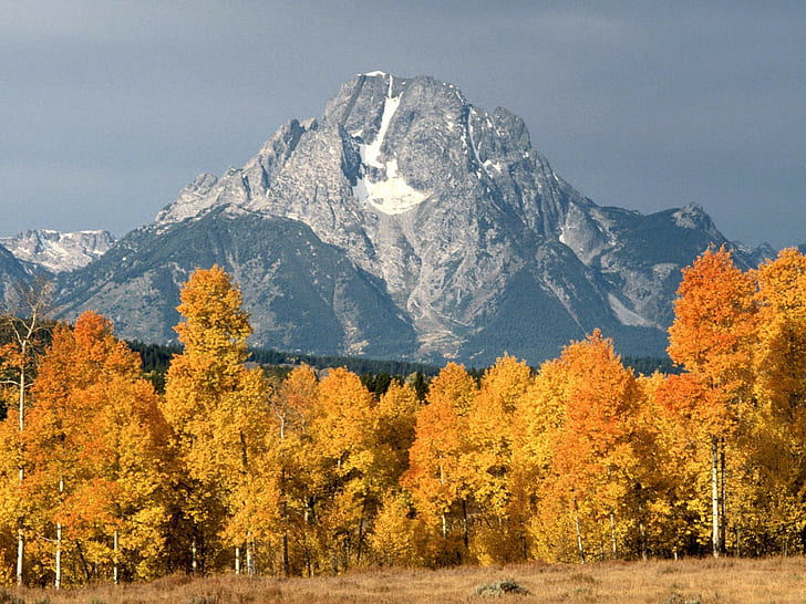 mountains, fall, mount moran, Wyoming, Grand Teton National Park, HD wallpaper