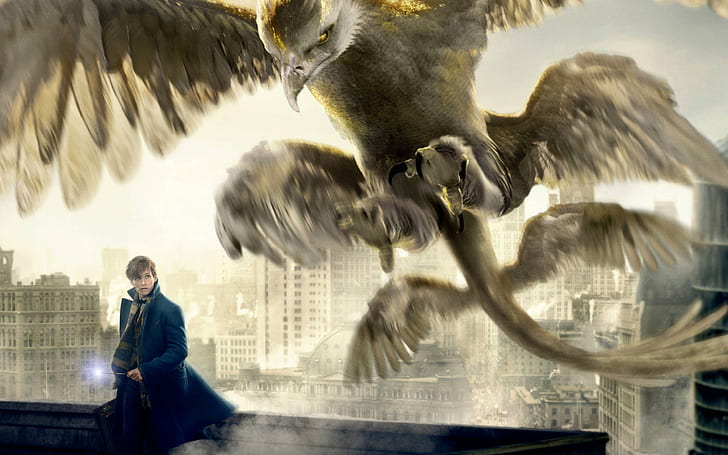 Fantastic Beasts and Where to Find Them, thunderbird, newt scamander