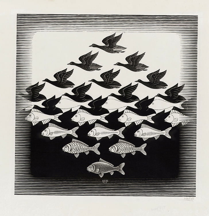 m c escher artwork optical illusion drawing monochrome animals birds fish illustration signatures