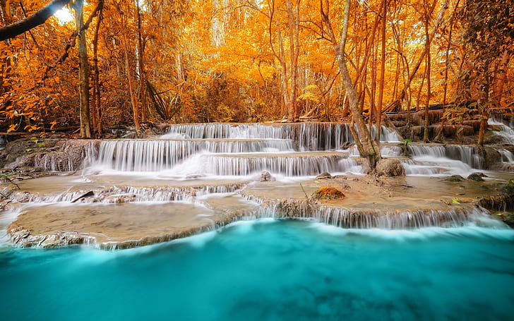 Forest, trees, river, waterfalls, autumn, HD wallpaper