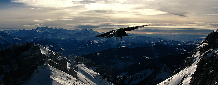 blue and white mountains picture, crow, mount pilatus, switzerland, crow, mount pilatus, switzerland
