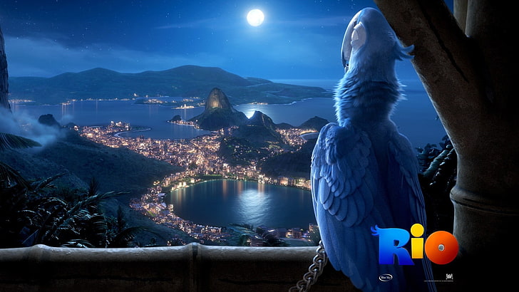 HD wallpaper: Rio digital wallpaper, movies, Rio (movie), animated movies,  water | Wallpaper Flare