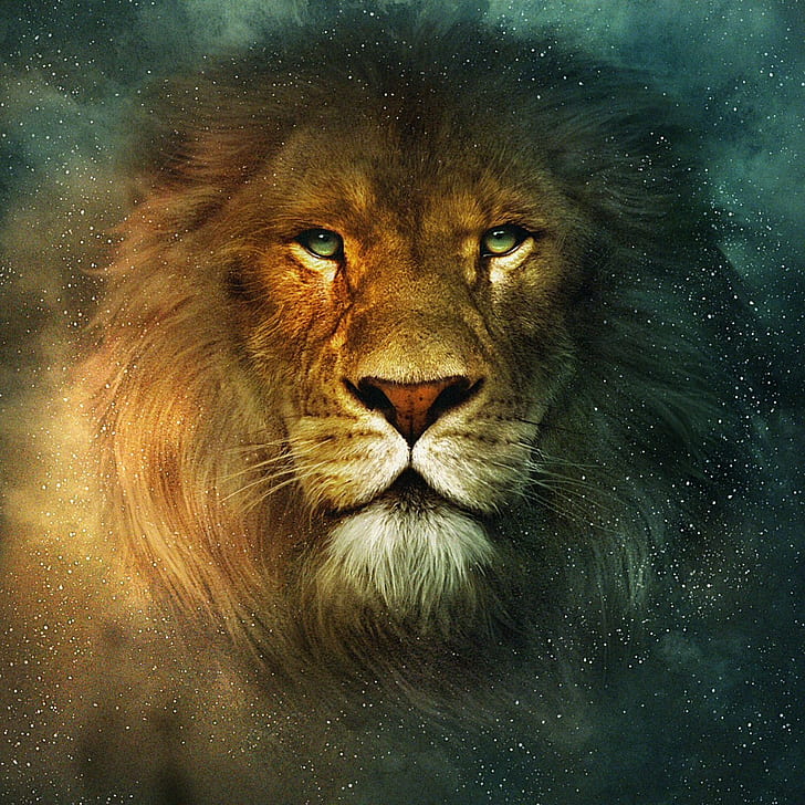 Brave lion HD wallpapers | Pxfuel