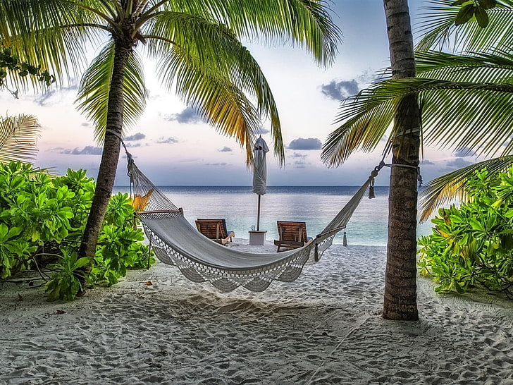 Hammock on Beach-Desktop Wallpaper, gray hammock, tropical climate, HD wallpaper