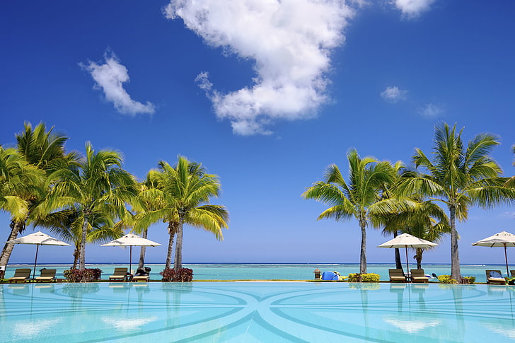 palm trees, sand, sea, beach, shore, summer, paradise, palms, HD wallpaper