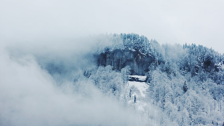 mountains snowfield, landscape, winter, mist, cliff, forest, white, HD wallpaper