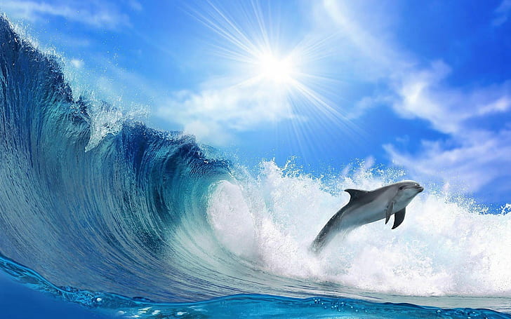 HD wallpaper: Animal, Dolphin, Fish, Sea, Seawater, Ocean, Blue Sky, Waves  | Wallpaper Flare