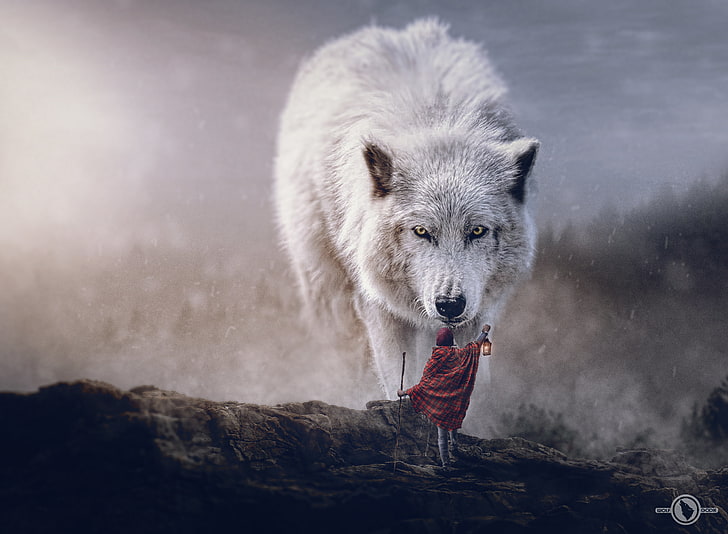 wolf wallpaper, digital art, sciencie fiction adventures, polar wolf, HD wallpaper