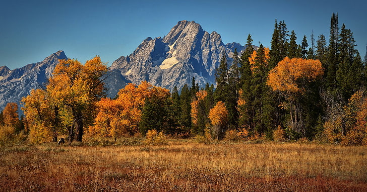 autumn, landscape, moran, mount, mountain, HD wallpaper