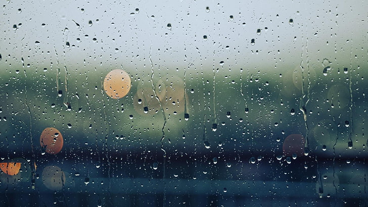 rain, rain drops, glass, wet, glass - material, window, transparent