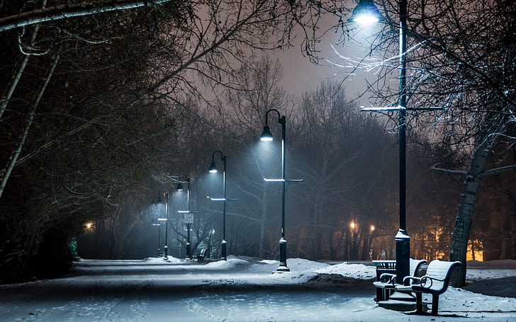 bench, lamp, lights, night, park, path, post, snow, trail, winter