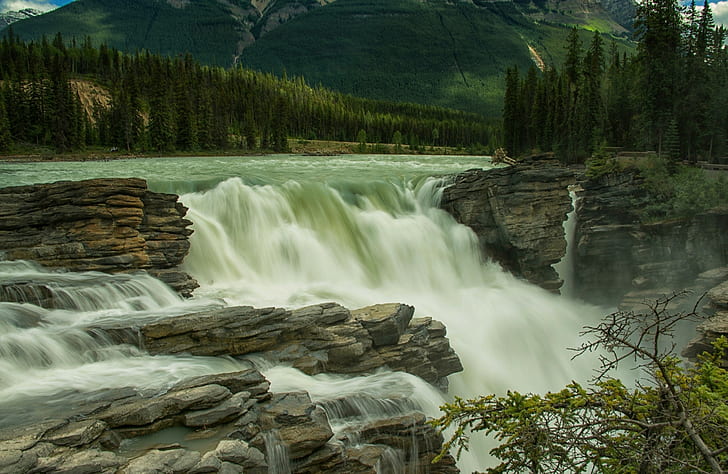 athabasca falls, athabasca river, Jasper National Park, Canada, HD wallpaper