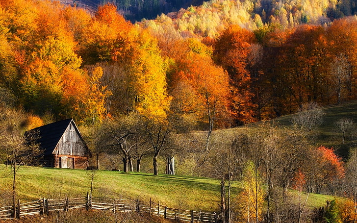 gray painted house, fall, barns, nature, forest, grass, hills