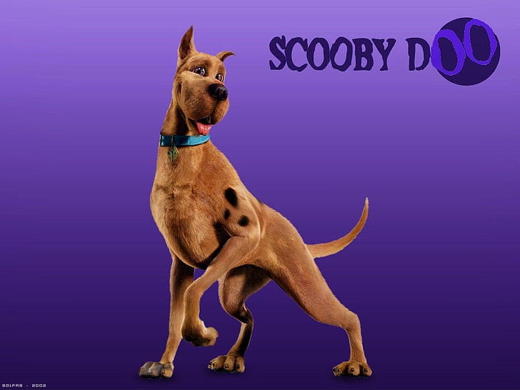 Scooby Doo wallpaper, Movie, Scooby-Doo, canine, mammal, dog, HD wallpaper