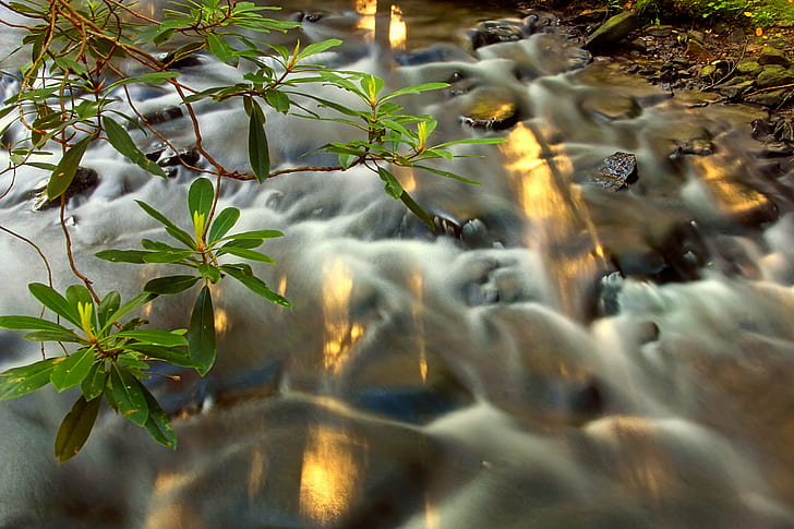 landscape photography of time lapse river, Six-Mile Run, Revisited, HD wallpaper