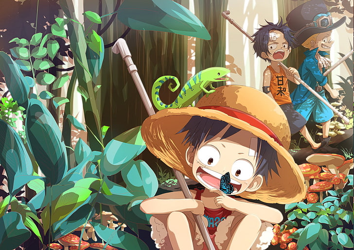 Monkey D. Luffy, One Piece, Portgas D. Ace, Sabo, representation