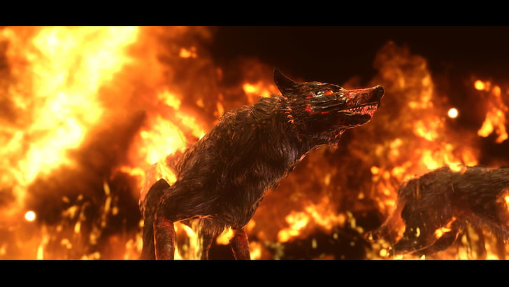 grey wolf with fire, hounds, fantasy art, artwork, video games