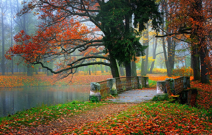 Autumn Park 1080P, 2K, 4K, 5K HD wallpapers free download, sort by  relevance | Wallpaper Flare