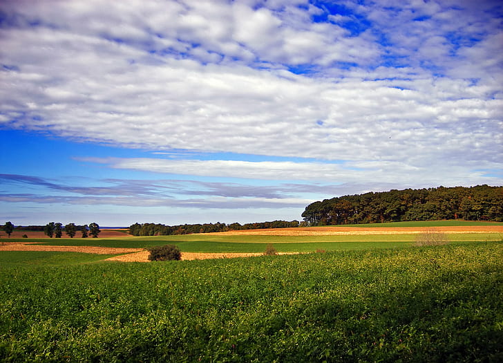 landscape photography of green field under white clouds, Outreach