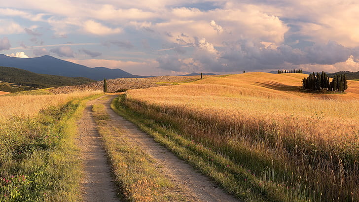 road, field, summer, grass, clouds, trees, mountains, the way
