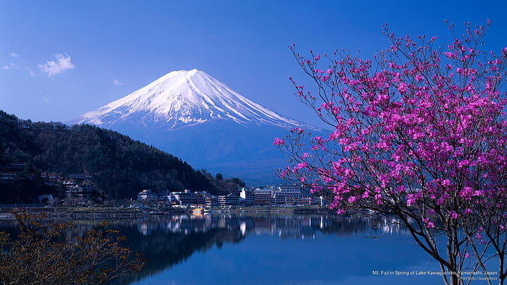 Mt. Fuji in Spring at Lake Kawaguchiko, Yamanashi, Japan, Mountains, HD wallpaper