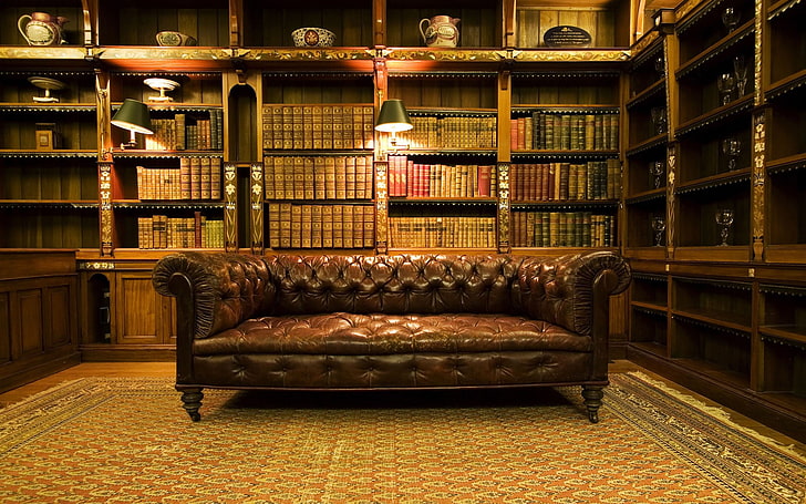 brown leather couch, books, indoors, shelf, large group of objects