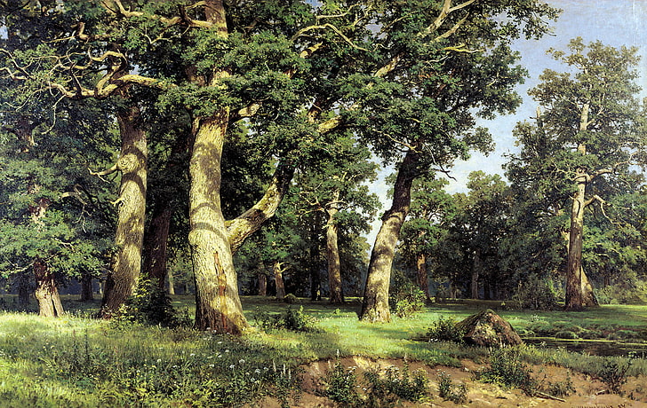 gray tree trunk, oil, picture, reproduction, Shishkin, canvas