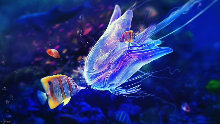 jellyfish, animals, invertebrate, light, fractal, design, texture, HD wallpaper