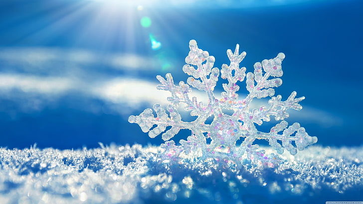 macro photography of snowflakes with rays of sun graphic wallpaper