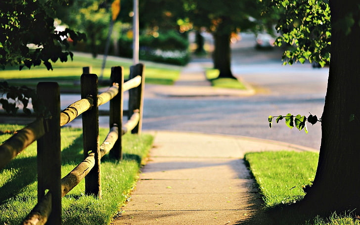 sunlight, bokeh, fence, nature, trees, plant, footpath, day