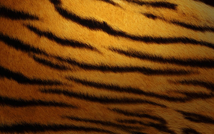 Tiger Skin, brown and black tiger print textile, HD wallpaper