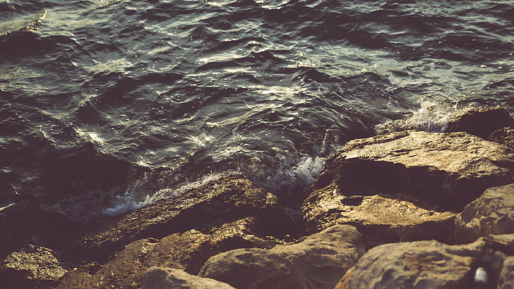 brown stones, water, rocks, sea, solid, rock - object, beauty in nature