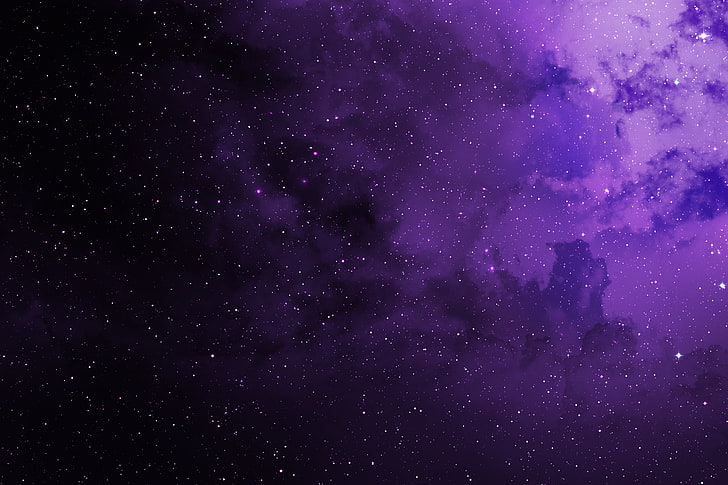Cosmos, Purple, Stars