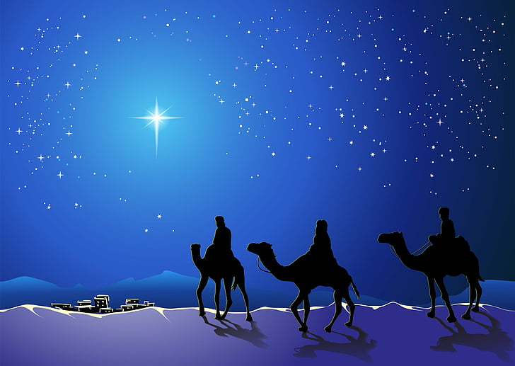 Holiday, Christmas, Blue, Camel, Night, Stars, The Three Wise Men