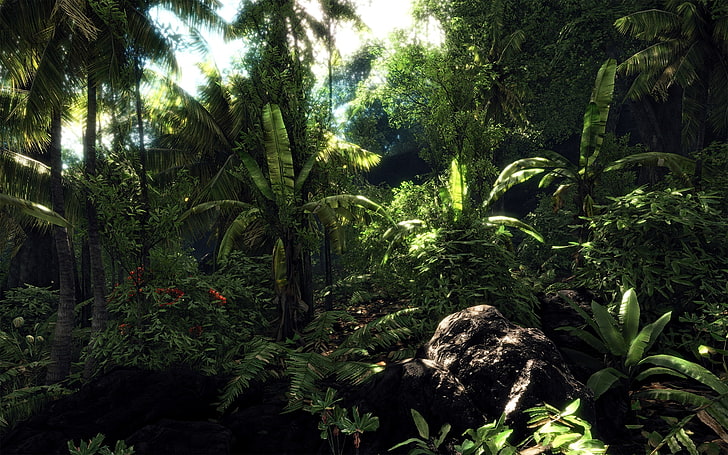 Crysis crytek Crysis jungle scene Video Games Crysis HD Art, pc, HD wallpaper