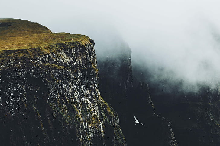 landscape, mountains, mist, birds, cliff, gray, rock, HD wallpaper