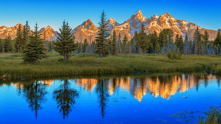 panoramic photo of mountains and trees, grand teton np, grand teton np