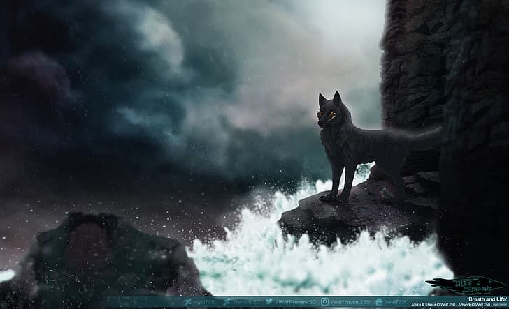 2560x1080px | free download | HD wallpaper: wolf, storm, sea, dark |  Wallpaper Flare
