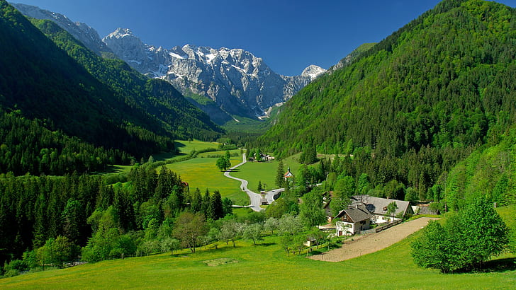 valley, Alps, hills, landscape, trees, mountains, hairpin turns