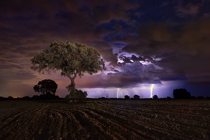 dark, landscape, field, night, storm, sky, trees, lightning