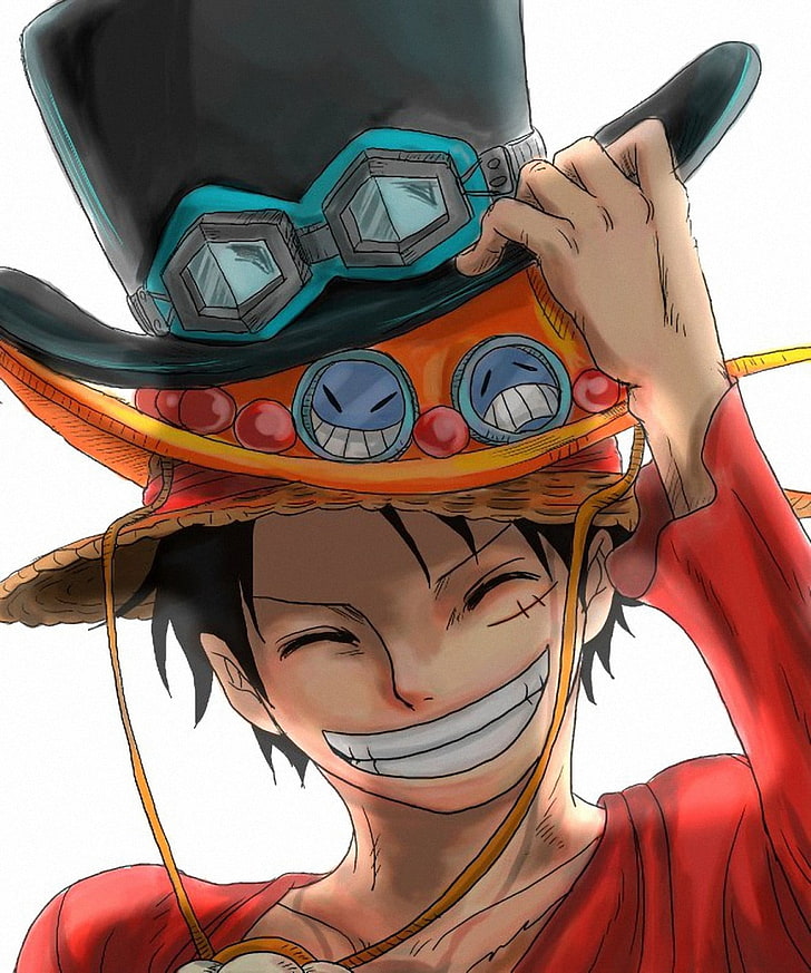 HD wallpaper: One Piece Monkey D. Luffy wallpaper, hat, anime, anime boys,  portrait | Wallpaper Flare