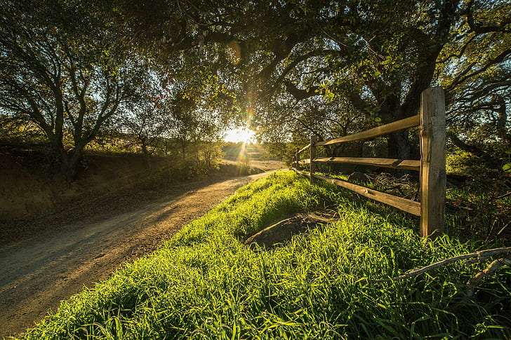 Rancho Santa Rosa, USA, California, trees, road, fence, sun rays, HD wallpaper