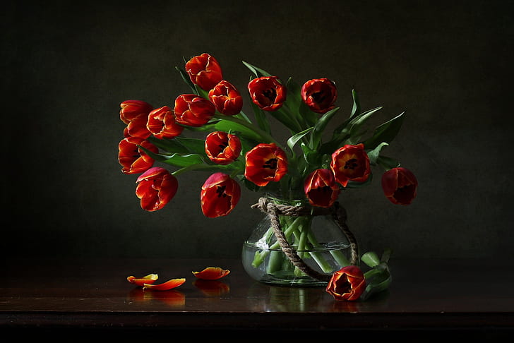 flowers, tulips, vase