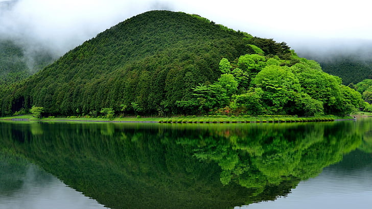 Lake, landscape, green, trees, fog, nature, photography, green mountain beside body of water