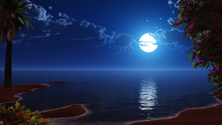 fantasy landscape, beach, night sky, seascape, ocean, reflection, HD wallpaper