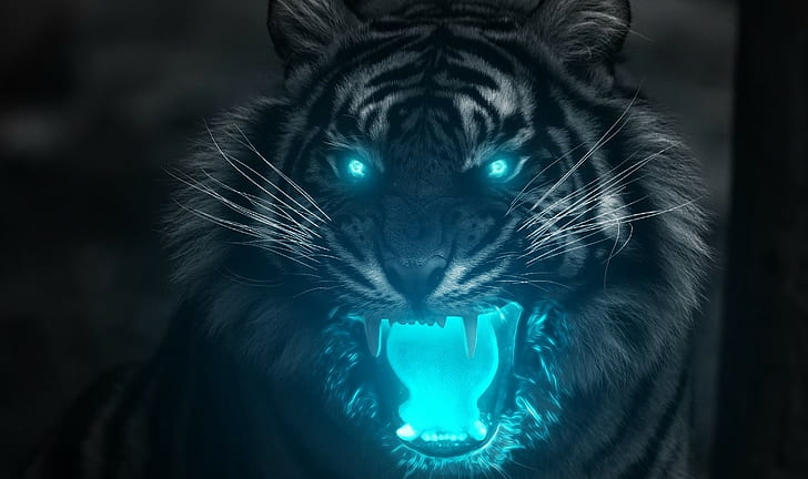 Tiger illustration, animals, animal themes, close-up, one animal