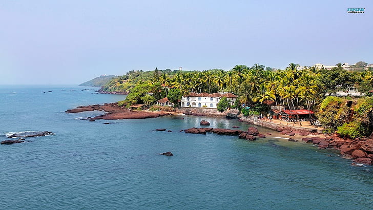 Resort Beach Goa India, trees, nature and landscapes, HD wallpaper