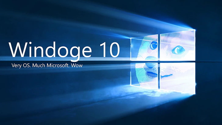 Windoge 10 text overlay, Shiba Inu, Microsoft Windows, memes HD wallpaper