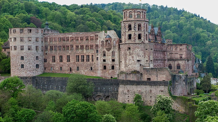 Castles, Heidelberg Castle, HD wallpaper