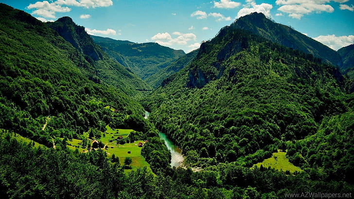bosque, montes, naturaleza, paisaje, rio, HD wallpaper